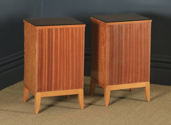 Pair of Georgian Neoclassical Style Satinwood & Ebony Bedside Cabinets (Circa 1970) - yolagray.com