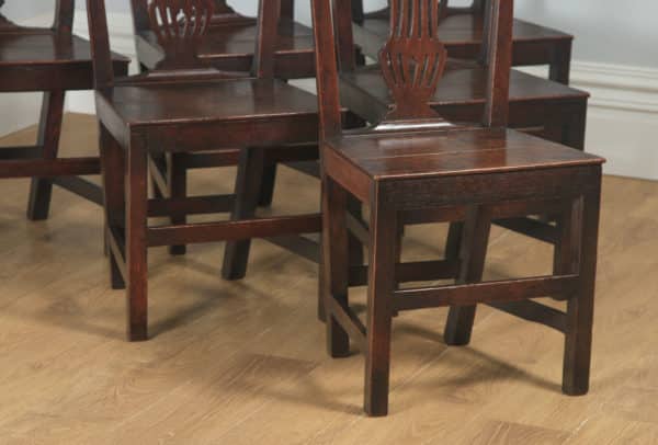 Antique English Set of Six Georgian Hepplewhite Solid Oak Country Dining Chairs (Circa 1800) - yolagray.com