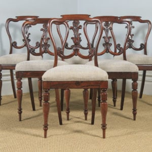 Antique Set of 6 Six English William IV Rosewood Carved Dining Chairs (Circa 1835) - yolagray.com