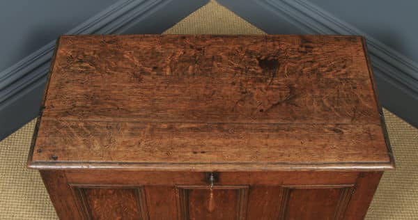 Antique English 18th Century Georgian Oak Joined Triple Panel Coffer Chest Blanket Box (Circa 1780) - yolagray.com