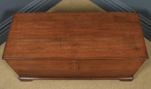 Antique English Georgian Solid Oak Trunk Blanket Box Chest / Coffer (Circa 1820) - yolagray.com