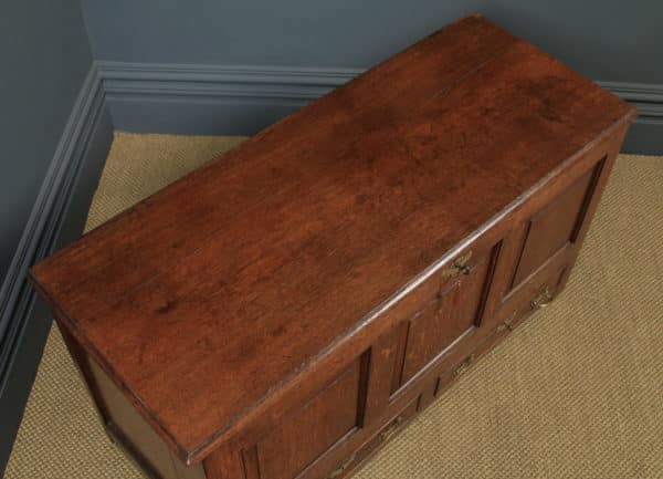 Antique English Georgian Panelled Oak Mule Chest / Blanket Box / Trunk with Drawers (Circa 1760) - yolagray.com