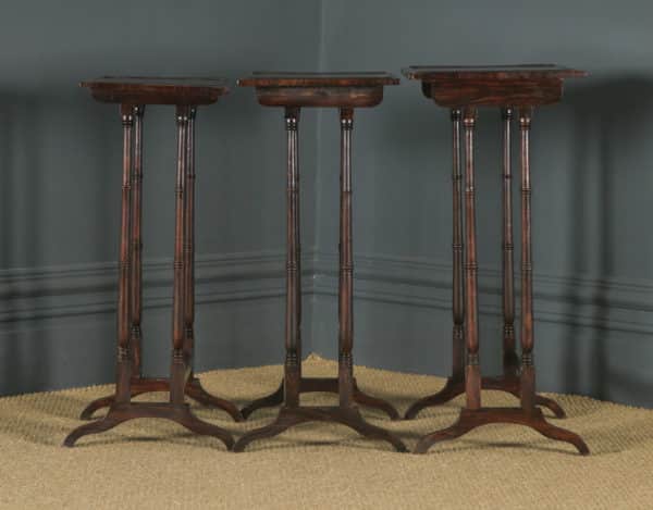 Antique English Set of Three Georgian Regency Rosewood & Mahogany Trio Nest of Side / Lamp / Coffee Tables (Circa 1820) - yolagray.com