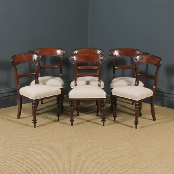 Antique English William IV Set of Six 6 Mahogany Bar Back Dining Chairs (Circa 1840) - yolagray.com
