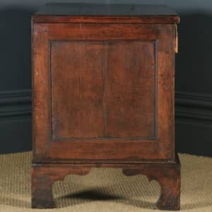 Antique English Georgian Oak Joined Triple Panel Mule Chest Blanket Box Coffer (Circa 1780) - yolagray.com