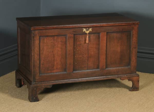 Antique English Georgian Oak Joined Triple Panel Mule Chest Blanket Box Coffer (Circa 1780) - yolagray.com