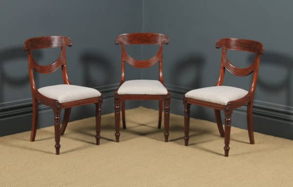 Antique English Georgian Regency Set of Four 4 Mahogany Trafalgar Dining Chairs (Circa 1820) - yolagray.com
