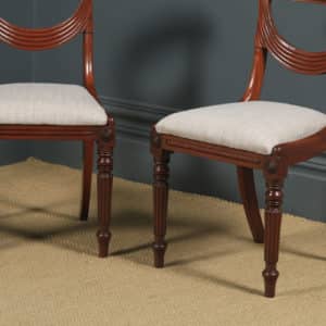 Antique English Georgian Regency Pair Two Mahogany Trafalgar Dining Chairs (Circa 1820) - yolagray.com
