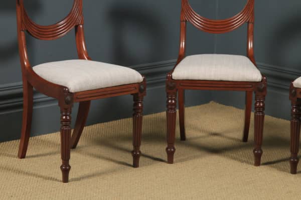 Antique English Georgian Regency Pair Two Mahogany Trafalgar Dining Chairs (Circa 1820) - yolagray.com
