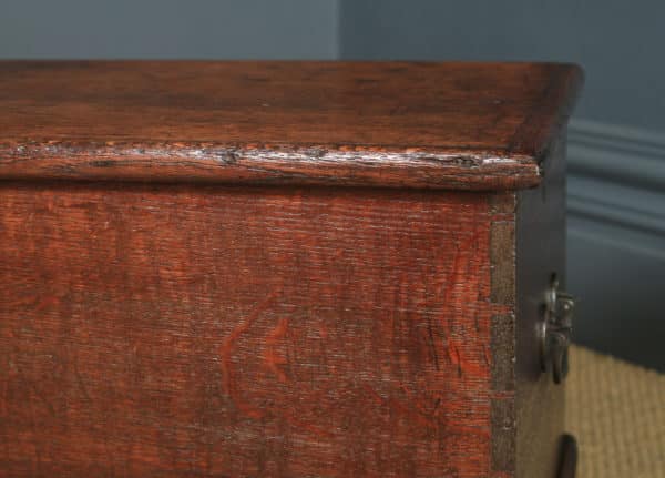 Antique English Georgian Oak Blanket Box / Chest / Trunk / Coffee Table (Circa 1830)