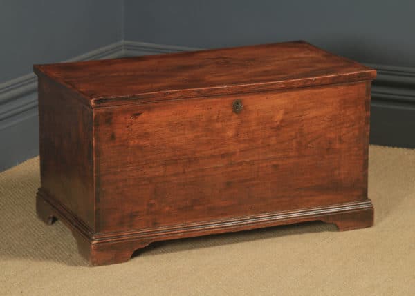 Antique English Georgian Elm Blanket Box / Chest / Trunk / Coffee Table (Circa 1830)