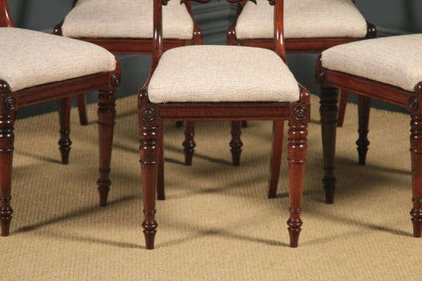 Antique English Georgian Set of Five 5 Rosewood Bar Back Dining Chairs (Circa 1830)