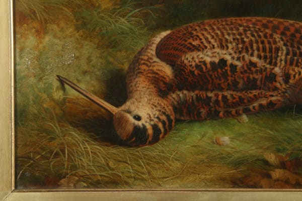 Antique English Victorian Oil Game Painting Picture of a Woodcock Bird by Abel Hold (Circa 1868)