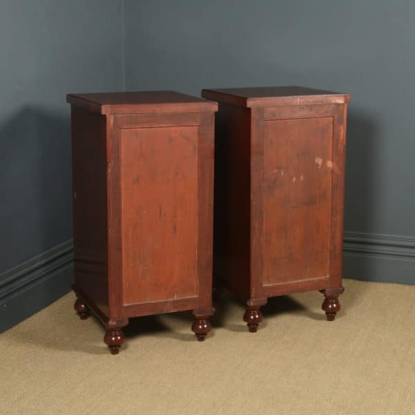 Antique English Pair of Georgian Regency Figured Mahogany Pedestal Cabinets / Cupboards (Circa 1820)