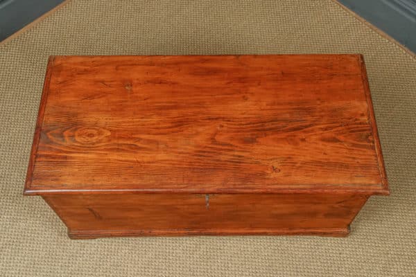 Antique English Victorian Pine Flat-Top Blanket Box Chest Trunk (Circa 1840)